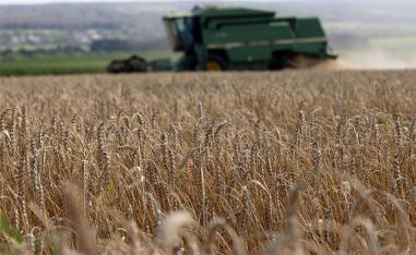 Russia in July quit a year-old deal that had allowed Ukraine to ship grain from its Black Sea ports