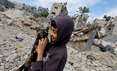 طفل فلسطيني يداعب قطا على خلفية مبان مدمرة بسبب القصف الاسرائيلي في غزة