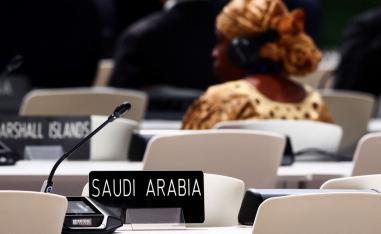 ضغوط وغضب من موقف دول أوبك في مؤتمر المناخ