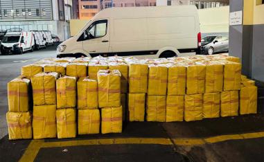 The seized cannabis