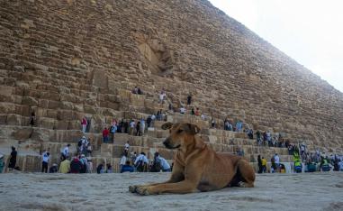 أهرامات الجيزة