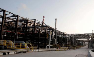 Half of the production came from the Gabar mountain region in the southeast province of Sirnak