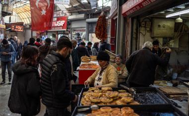 The eastern and southeastern provinces of Turkey have long lagged behind other regions of Turkey in most economic indicators