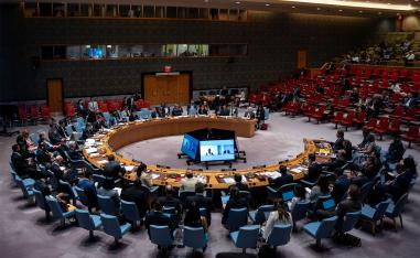UN Security Council