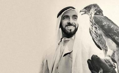 الصقارة