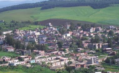 سليانة