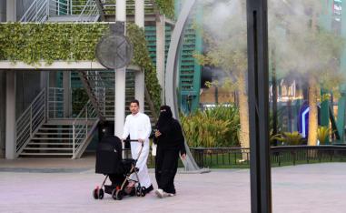 تقليل الانجاب إحدى علامات الحداثة