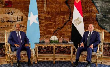 مصر تنظر للصومال باعتبارها فضاء حيويا لأمنها القومي