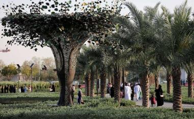 The Blue and Green Spaces Roadmap will transform Dubai into a sustainable oasis