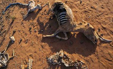 The drought has deepened alarmingly