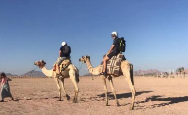 جمال أسوان