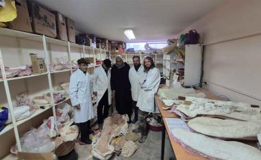The team of researchers behind the discovery