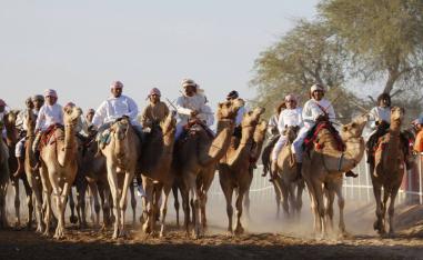مهرجان الفروسية