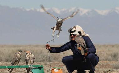 All the released birds will be fitted with GPS trackers and microchips