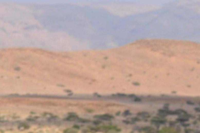 The US military has stepped up its campaign of air strikes in Somalia since President Donald Trump took office