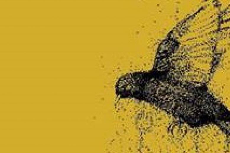 لوحة غلاف كتاب 'أصيد طائر كوليردج' 