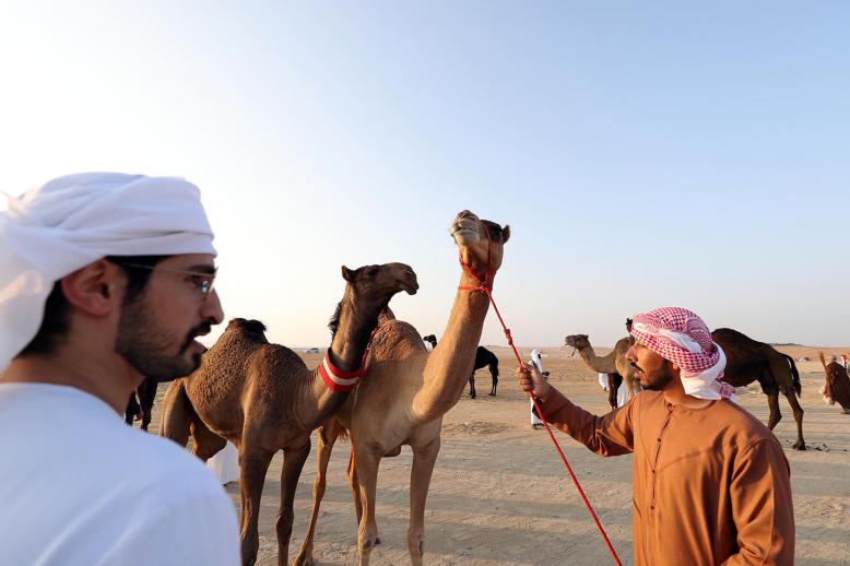 Al Dhafra festival