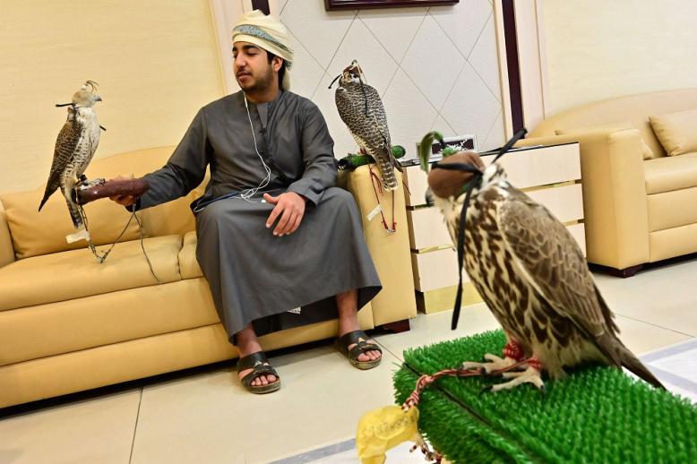 الصقارة