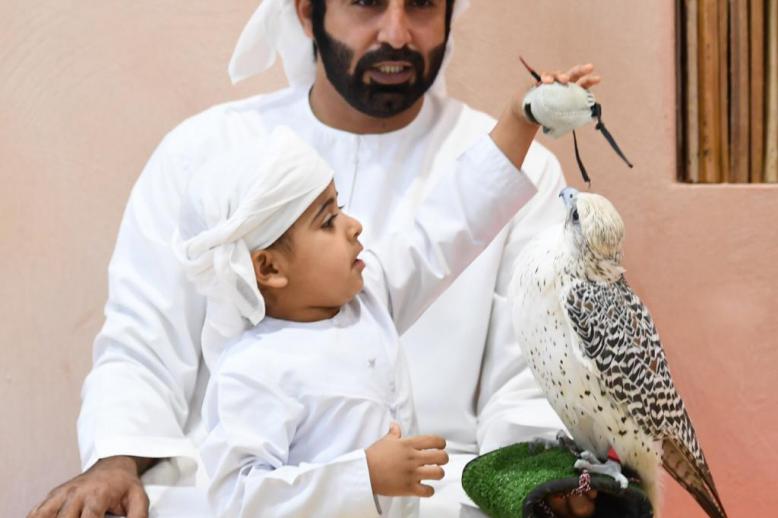 أجمل الصقور المكاثرة في الأسر