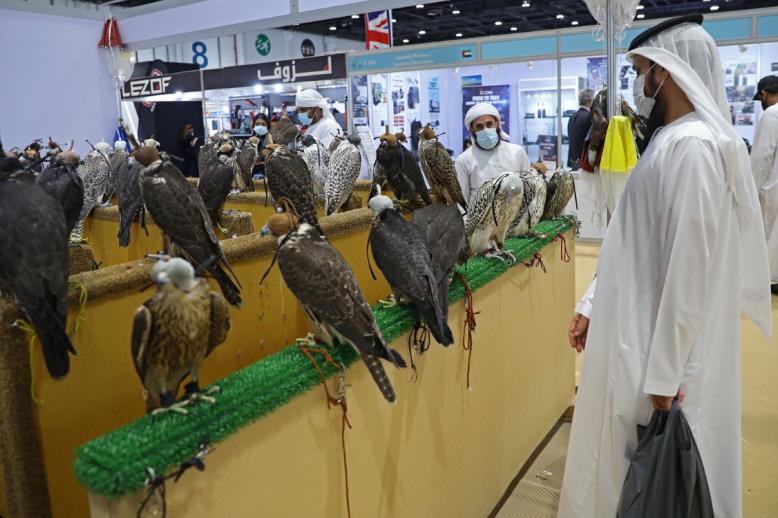 معرض الصيد