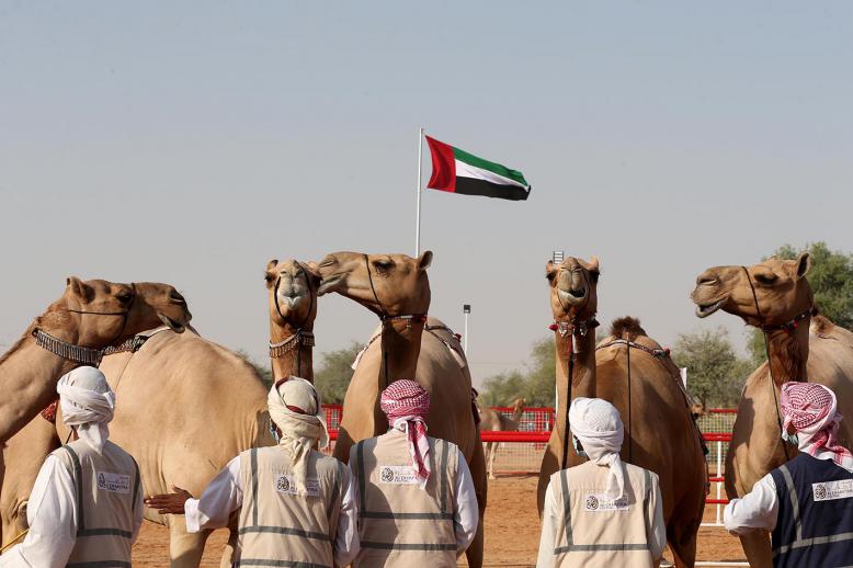 Al Dhafra Festival aspires to preserve the cultural heritage of Abu Dhabi 