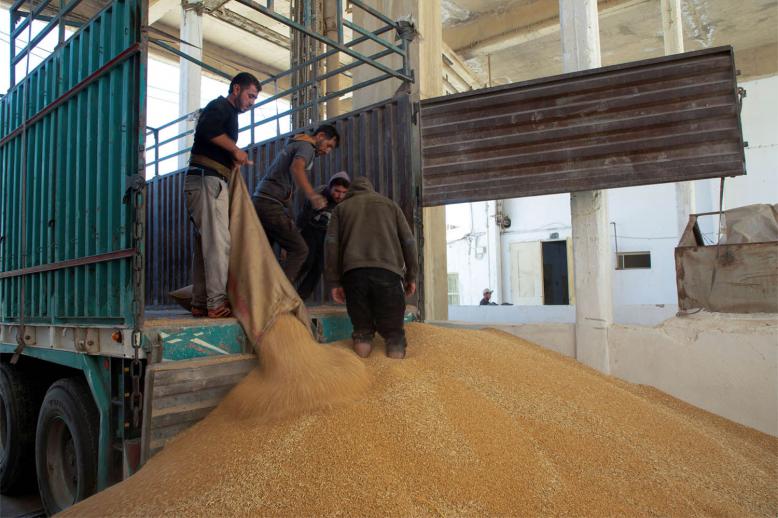 Poor rainfall, fuel shortages, soaring fertilizer prices have taken their toll on Syria's wheat harvest