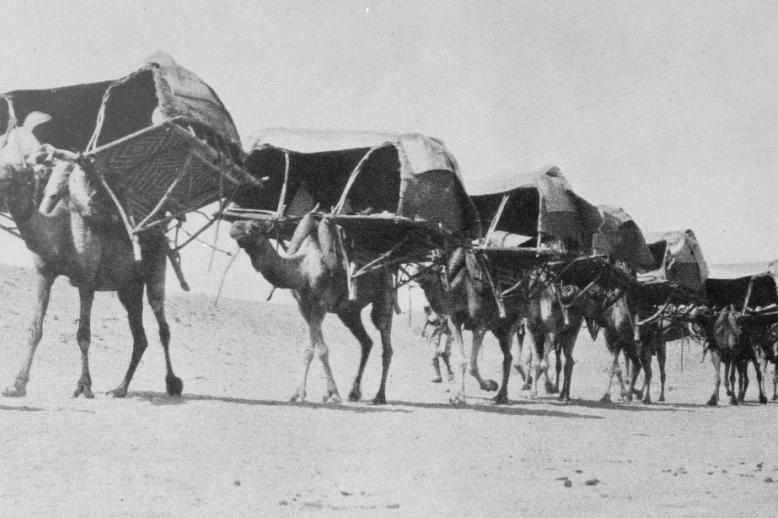 الحج