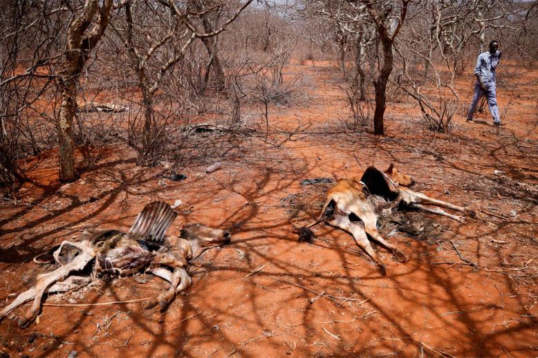 African countries are increasingly exposed to the impact of extreme weather linked to climate change