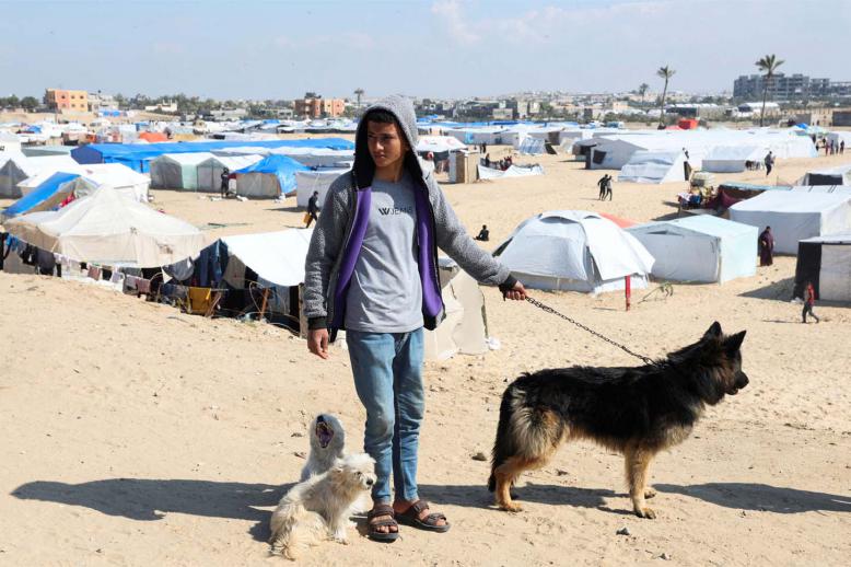 Hassan Abu Saman is a passionate dog lover since childhood