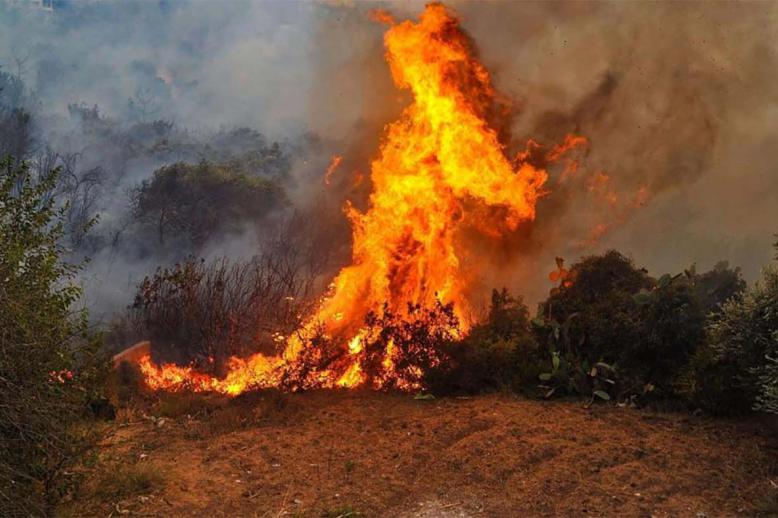 Flames engulfing tracts of land 