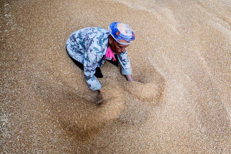 Egypt has explored alternatives including bank loans to purchase wheat 