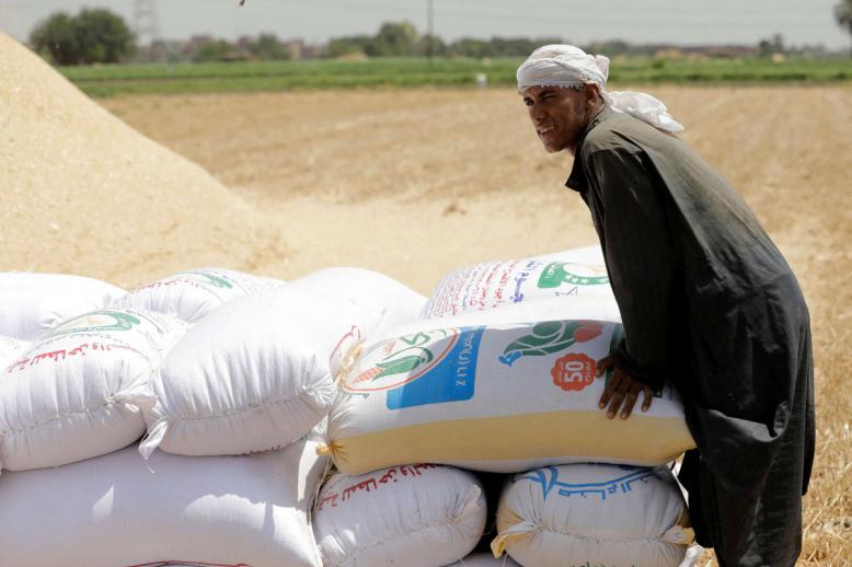 تعزيز الأمن الغذائي يتصدر أولويات الحكومة المصرية 