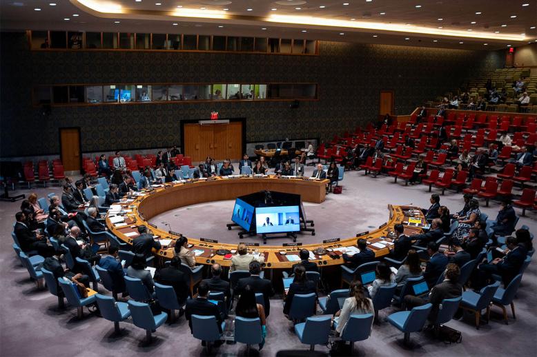 UN Security Council