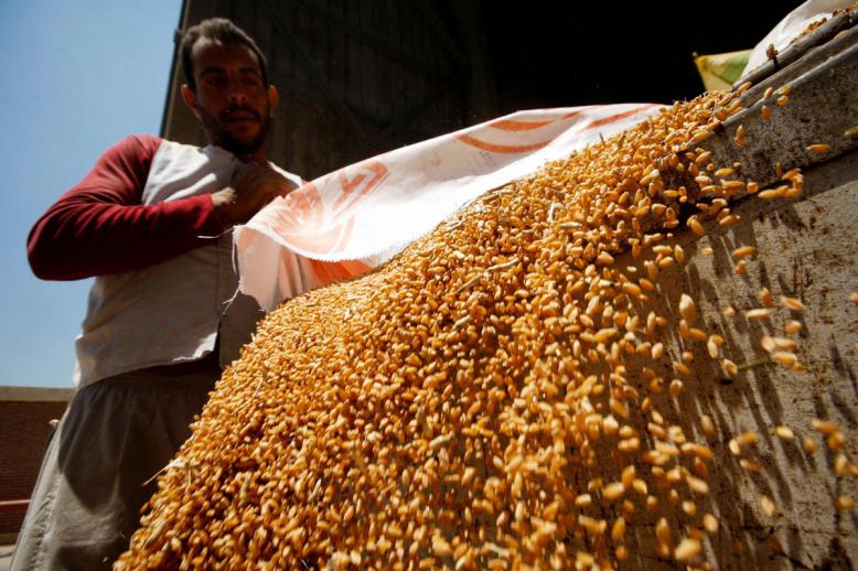 مصر تسعى إلى تقليل اعتمادها على واردات القمح