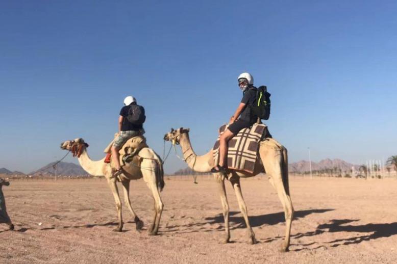 جمال أسوان