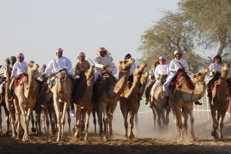 مهرجان الفروسية