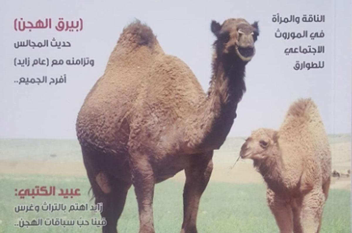 أدب الإبل