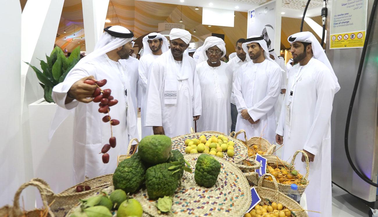 بلدية العين ترسخ الوعي البيئي لدى جمهور المهرجان