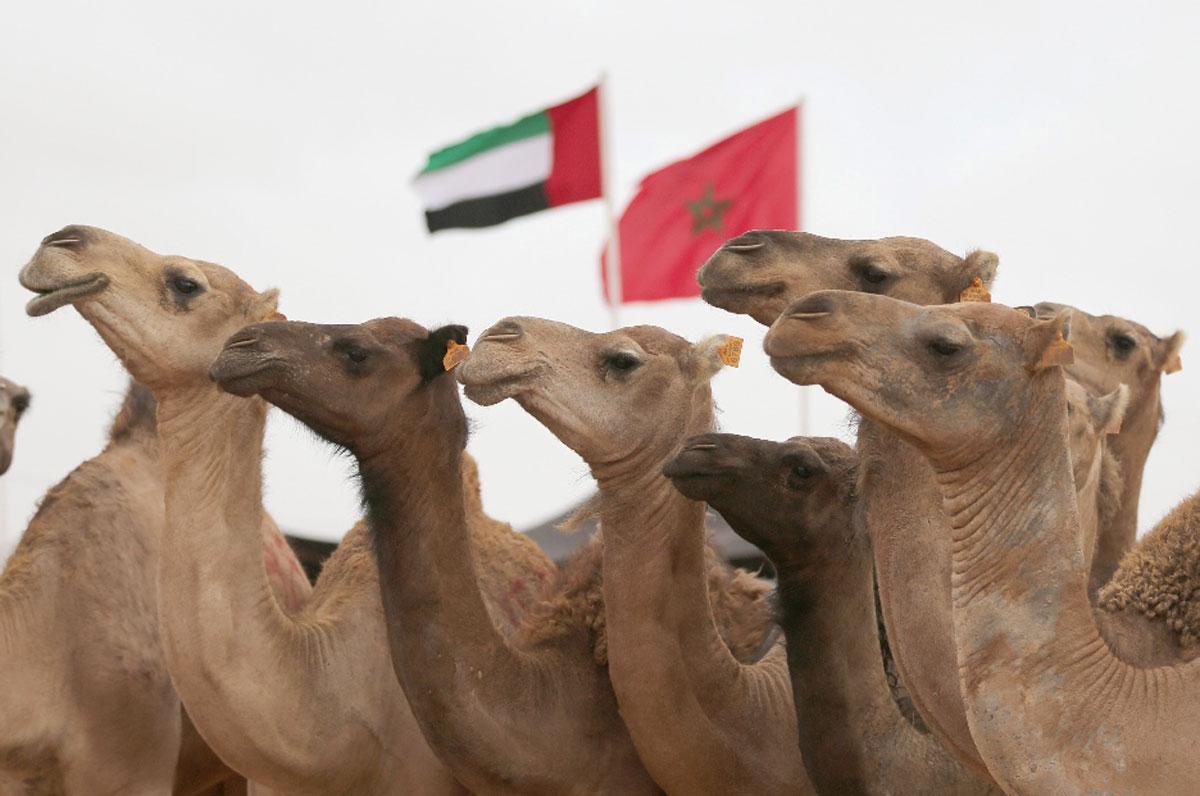 الحفاظ على التراث واجب