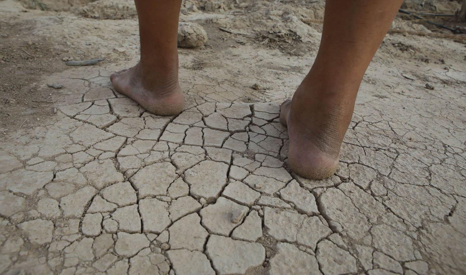 عراقي يقف على مجرى الماء في مزرعته في السيبة جنوب العراق