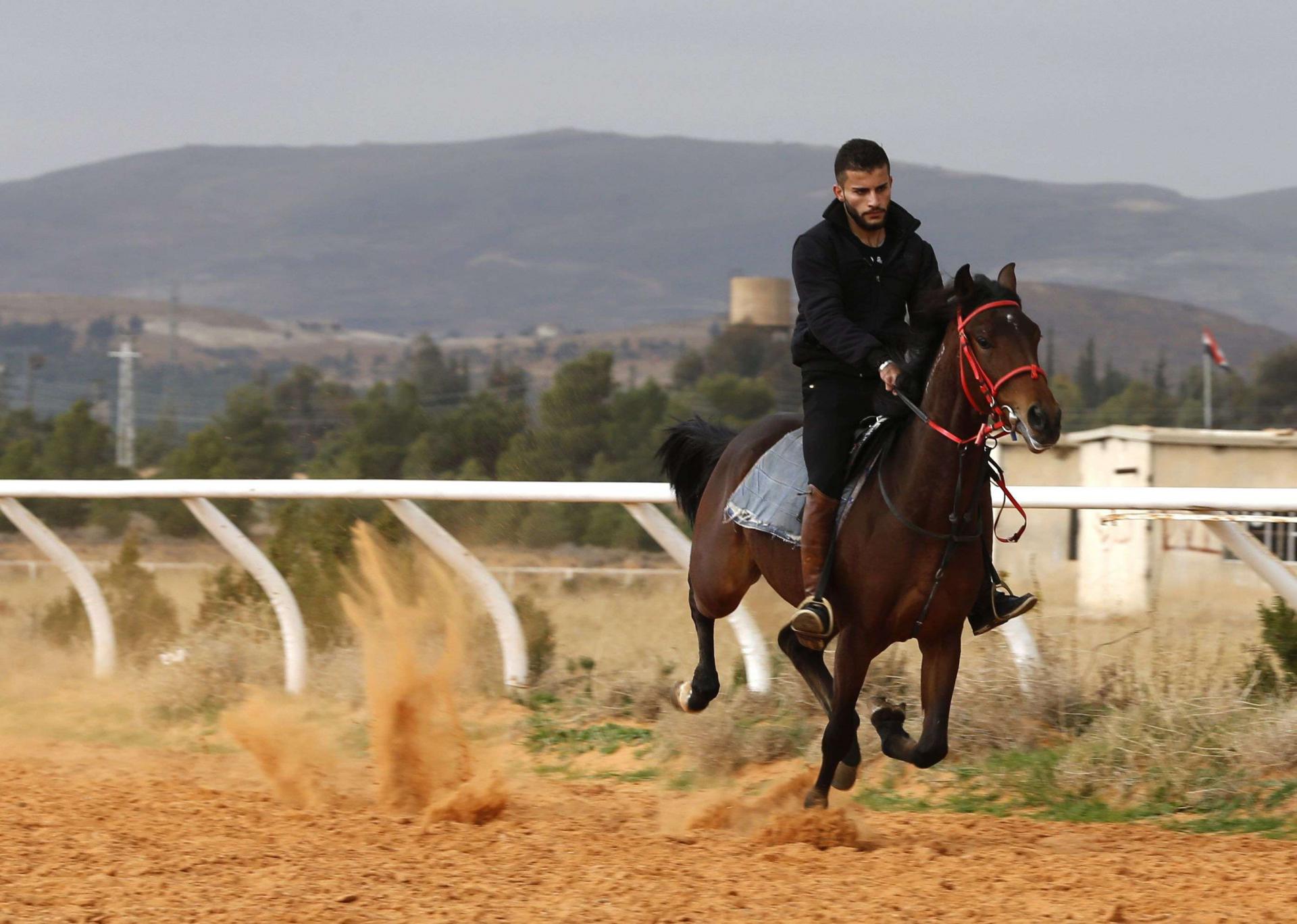 Of the 8,500 horses that Syria registered with the World Arabian Horse Organization (WAHO) in 2011, it has lost 3,000 in the war