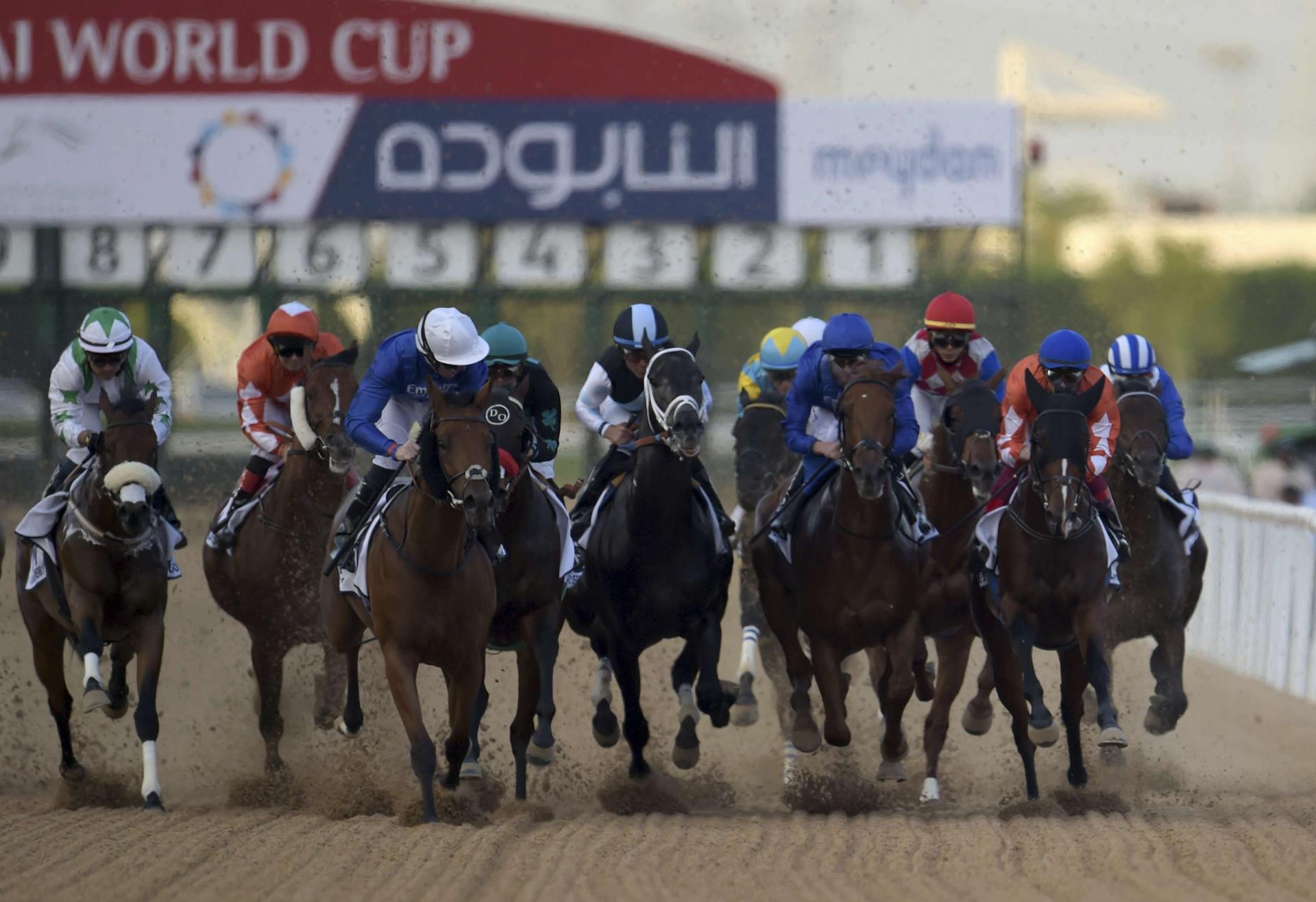سباقات الخيول