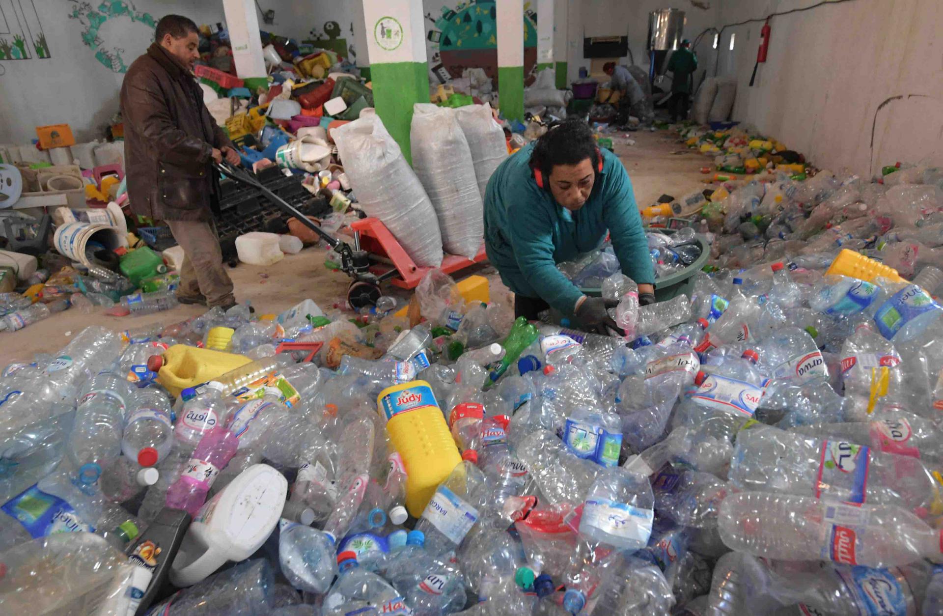 Waste pickers say the work often puts their safety and wellbeing at risk and earns them between 10 and 40 Tunisian dinars ($3.50-$14) a day