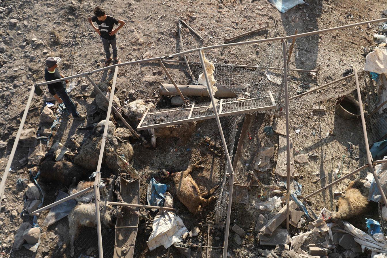 Syrian boys look at a destroyed sheep pen following a reported Russian air strike in Idlib province