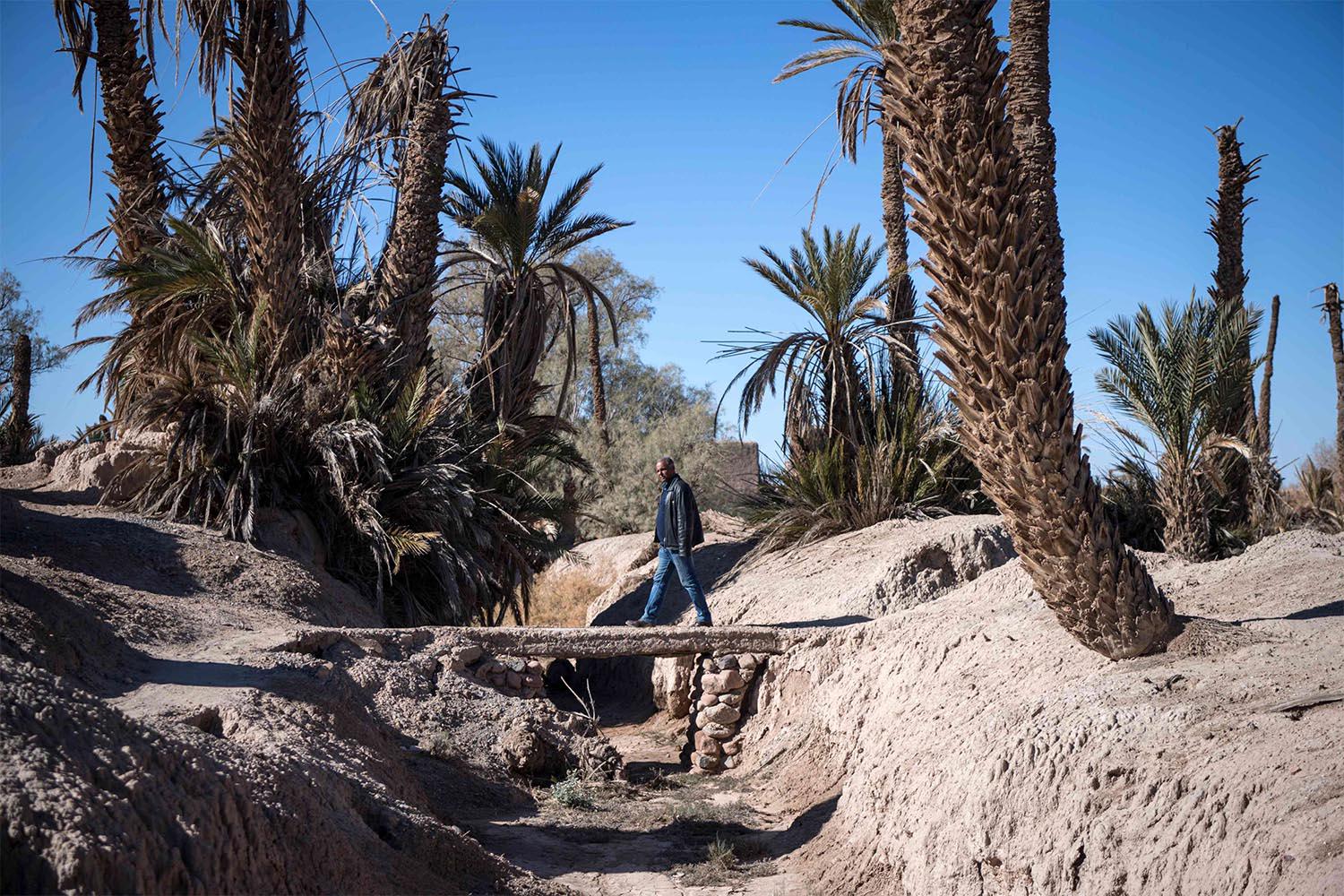 Skoura oasis