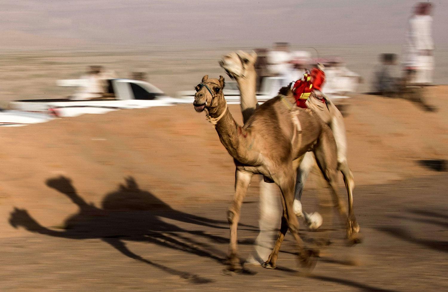 سباق