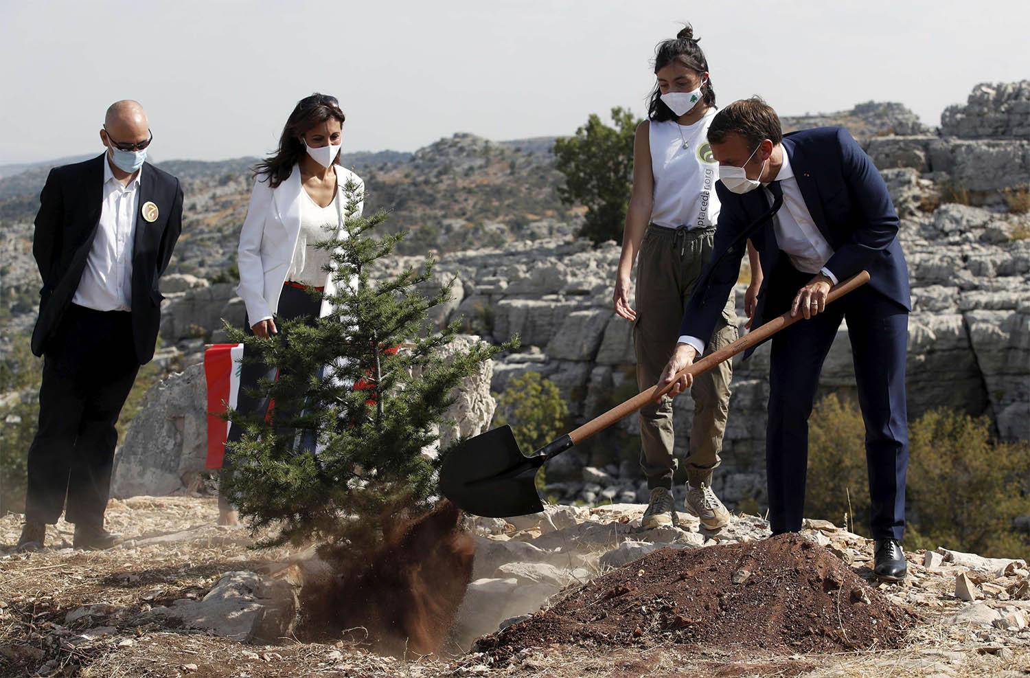 Macron marked Lebanon's centenary by planting a cedar tree