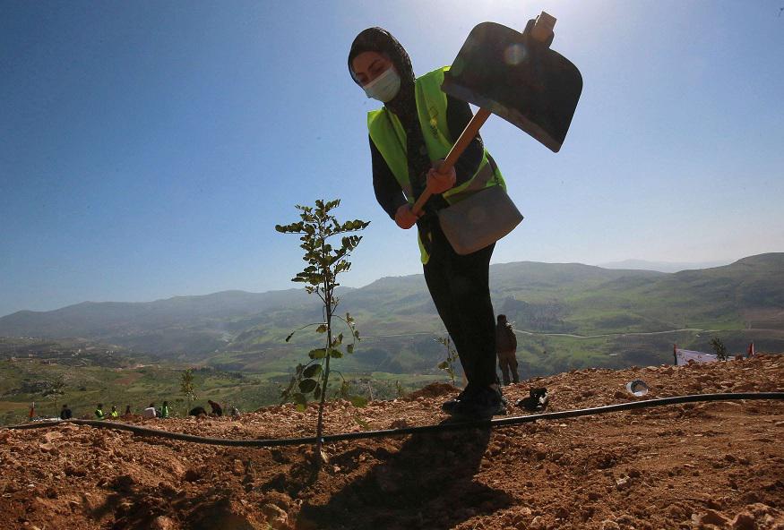 التشجير في الاردن