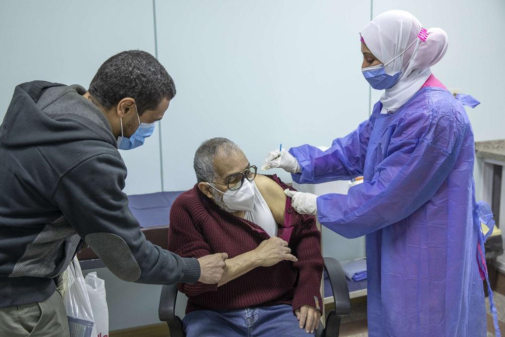 التلقيح في مصر