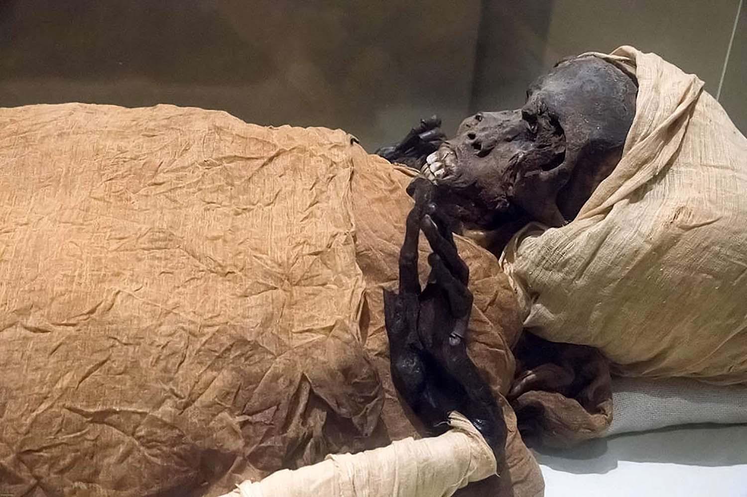 22 kings and queens are to be moved on Saturday to a new museum site
